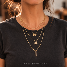 Load image into Gallery viewer, Layered Gold necklace- different livestock options available (Copy)
