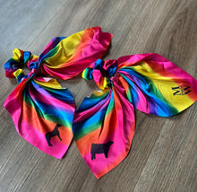 Load image into Gallery viewer, Rainbow Scrunchie - all livestock options
