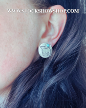Load image into Gallery viewer, Turquoise and Steer Earrings
