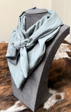 Load image into Gallery viewer, Wild Baby Cowboy Rag - Pin Stripe
