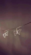 Load and play video in Gallery viewer, Heifer String Lights
