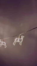 Load and play video in Gallery viewer, Sheep String Lights
