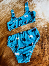 Load image into Gallery viewer, Adult Herd Bull Swim Two Piece
