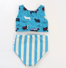 Load image into Gallery viewer, Herd Bull Swimsuit- childrens
