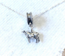 Load image into Gallery viewer, Sterling Silver Double Layer feather necklace
