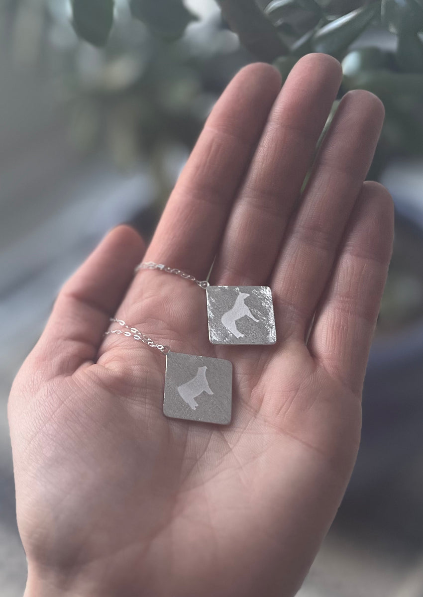 Brushed Ranchero necklace - Sterling Silver – Stock Show Shop