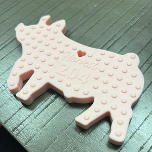 Swine - Baby Teether